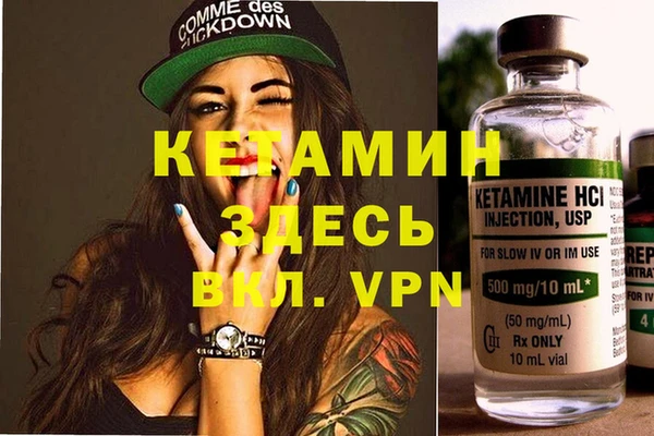 индика Алексин