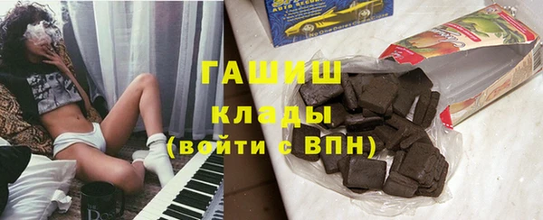 индика Алексин