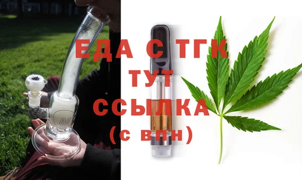 индика Алексин