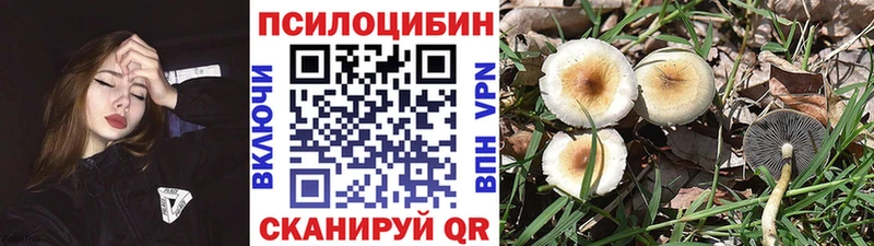 Псилоцибиновые грибы мицелий  Ханты-Мансийск 