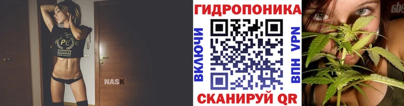 как найти закладки  Ханты-Мансийск  Бошки марихуана White Widow 